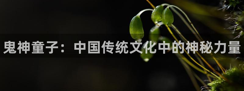 漫画之家韩漫
