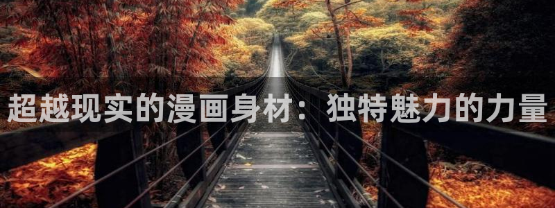 漫画之家软件