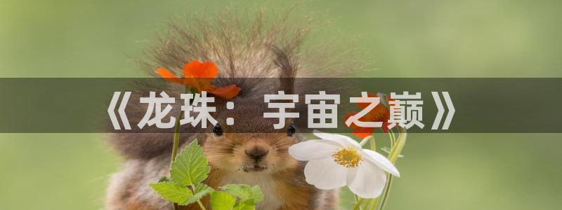 漫画之家漫画网入口
