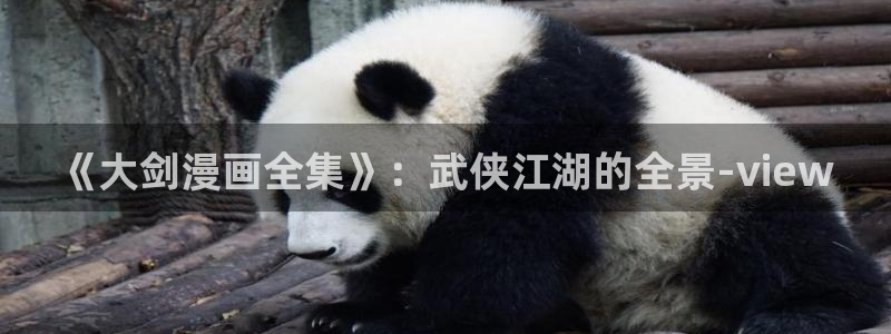漫画之家下载官网下载：《大剑漫画全集》：武侠江湖的全景-view