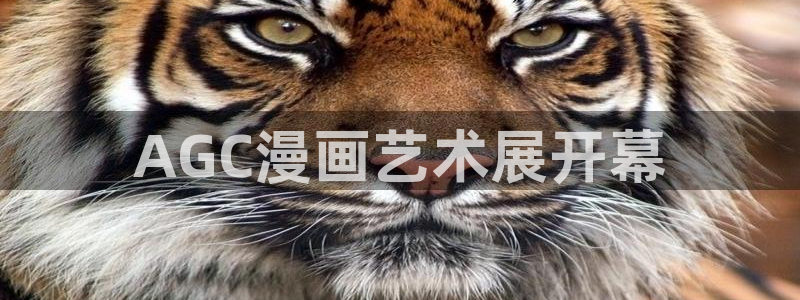 汉化全彩漫画漫画之家