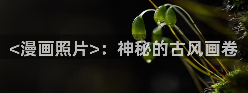 漫画之家免费下载