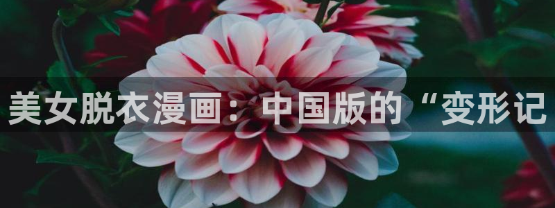 漫画之家网