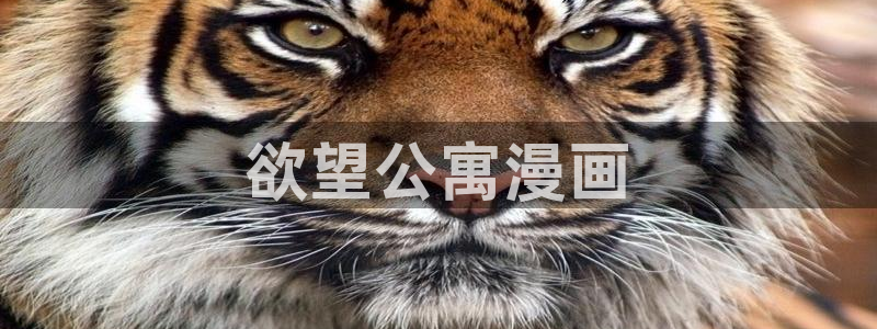 漫画之家官网