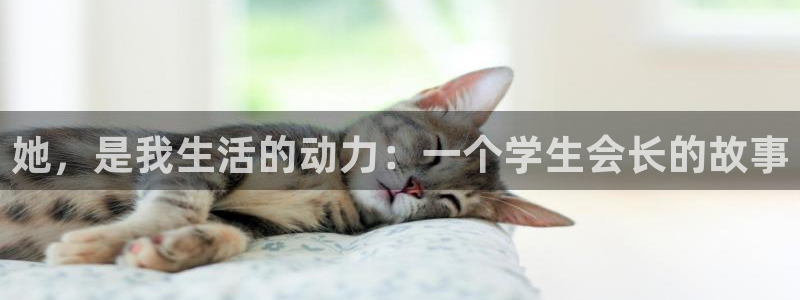 漫画之家官网app下载最新版