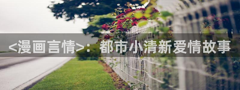 神之塔漫画下拉式免费漫画之家