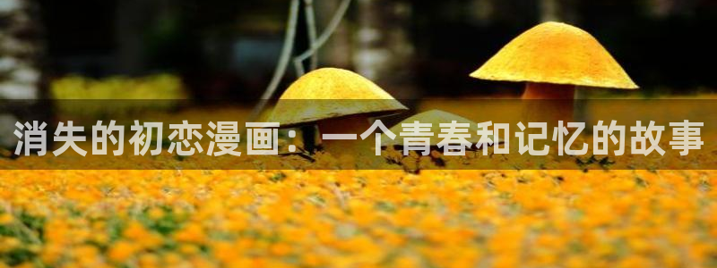 漫画之家漫画网：消失的初恋漫画：一个青春和记忆的故事