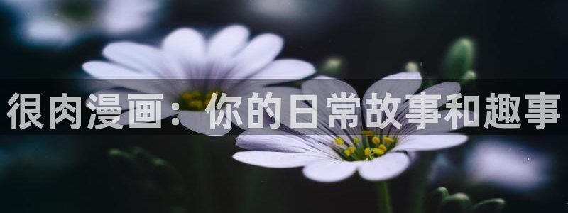 漫画之家_漫画之家韩漫：很肉漫画：你的日常故事和趣事