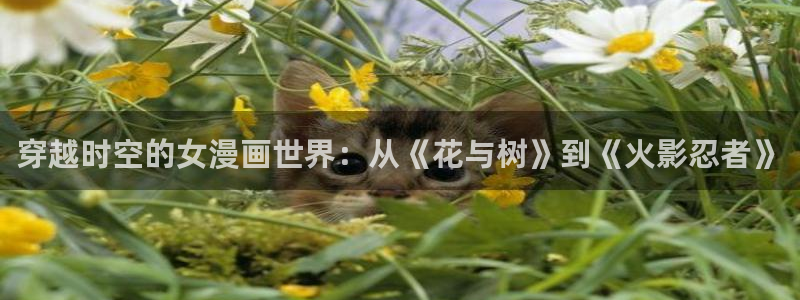 漫画之家app安装：穿越时空的女漫画世界：从《花与树》到《火影忍者》